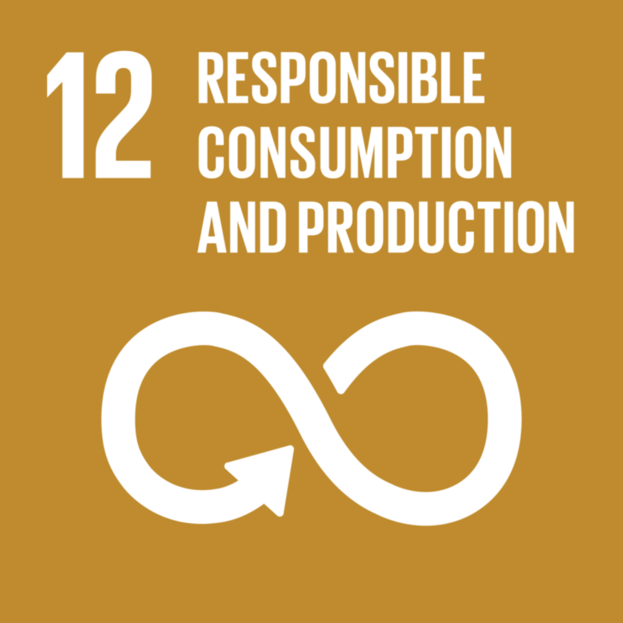 SDGs12